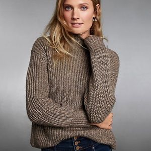 Ann Taylor Shimmering Mock Neck Sweater NWT - size M